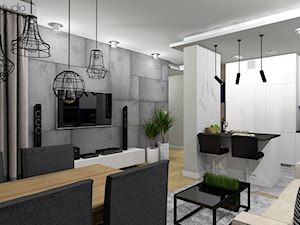 mieszkanie nowoczesne 70m2 - Salon, styl nowoczesny - zdjęcie od DR-STUDIO