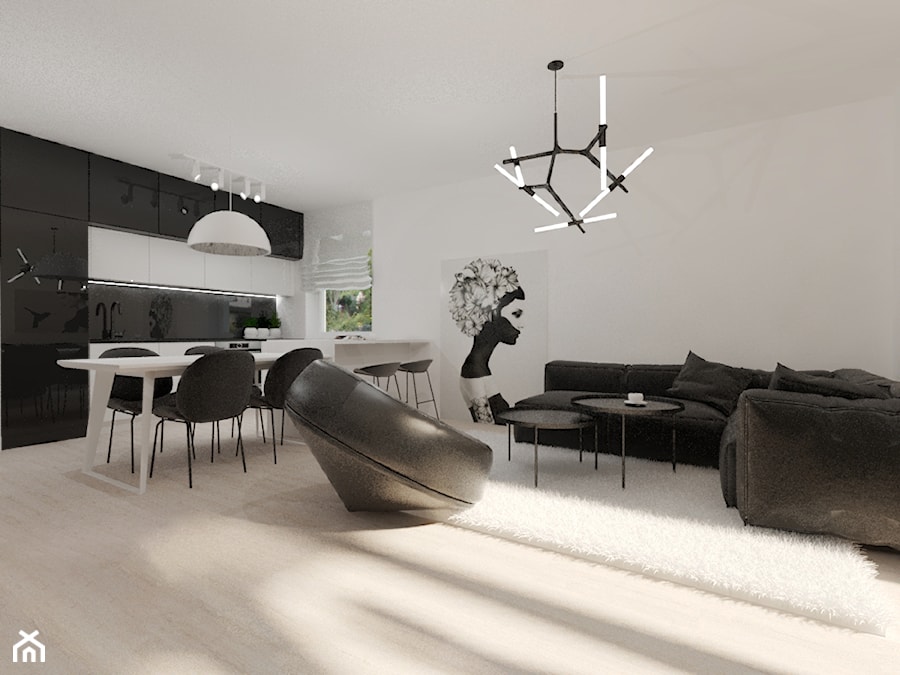 Apartament w dwóch kolorach - Salon, styl nowoczesny - zdjęcie od Gama Design