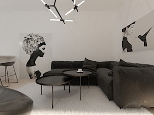 Apartament w dwóch kolorach - Salon, styl nowoczesny - zdjęcie od Gama Design