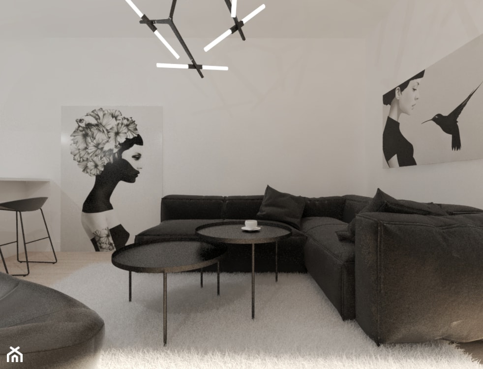 Apartament w dwóch kolorach - Salon, styl nowoczesny - zdjęcie od Gama Design - Homebook