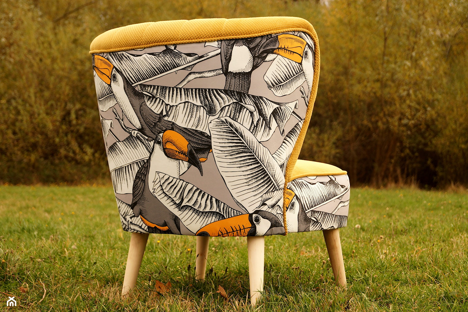 fotel klubowy tukany - zdjęcie od Fotelownia - Homebook