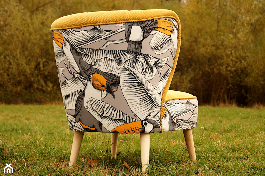 fotel klubowy tukany - zdjęcie od Fotelownia