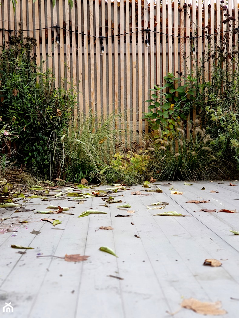 Miejski ogród - zdjęcie od Sandra Jagielska Studio Architektury - Homebook