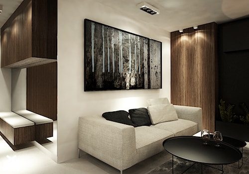 projekt mieszkania K - Średni szary salon, styl tradycyjny - zdjęcie od Otwarte Studio Sztuka