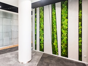 Zielone panele z mchu - zdjęcie od Atelier mchu