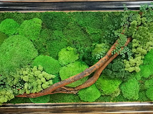 Zielony obraz z mchu - zdjęcie od Atelier mchu
