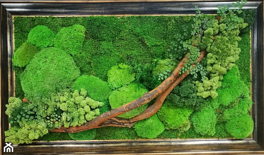 Zielony obraz z mchu - zdjęcie od Atelier mchu