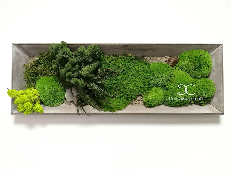 Zielony obraz "Szary" - zdjęcie od Atelier mchu