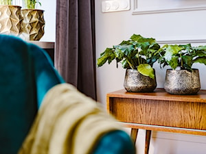 Roślinność i ozdoby w salonie apartamentu z atresolą. - zdjęcie od Maciej Nowakowski Fotografia Wnętrz