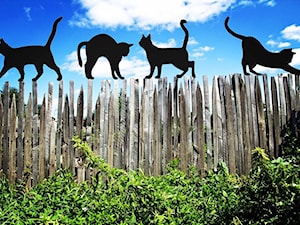 Ogród, styl nowoczesny - zdjęcie od blaszany kot