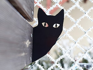 Kot Wasyl - zdjęcie od blaszany kot