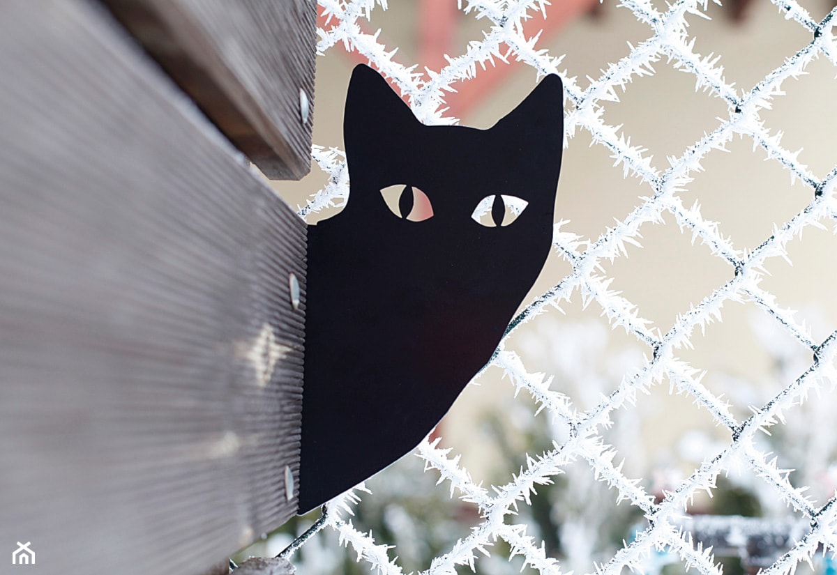 Kot Wasyl - zdjęcie od blaszany kot - Homebook