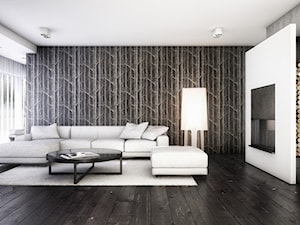 BS - Salon, styl nowoczesny - zdjęcie od Cutout Architects