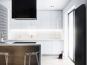 Vincent Cat - Średnia otwarta z salonem biała z podblatowym zlewozmywakiem kuchnia dwurzędowa z wyspą lub półwyspem, styl nowoczesny - zdjęcie od Cutout Architects