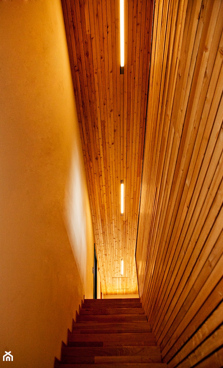 ECO interior - zdjęcie od Genius Loci Architekci