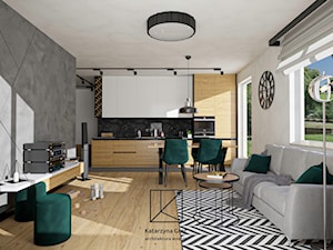 Nowoczesny salon z zielonymi akcentami i loftowym klimatem - zdjęcie od Katarzyna Grot Architektura Wnętrz