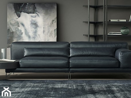 Aranżacje wnętrz - Salon: Sofa Ido Natuzzi Italia - NATUZZI SALON MEBLI WŁOSKICH . Przeglądaj, dodawaj i zapisuj najlepsze zdjęcia, pomysły i inspiracje designerskie. W bazie mamy już prawie milion fotografii!