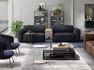 Sofa Colosseo Natuzzi Italia - zdjęcie od NATUZZI SALON MEBLI WŁOSKICH