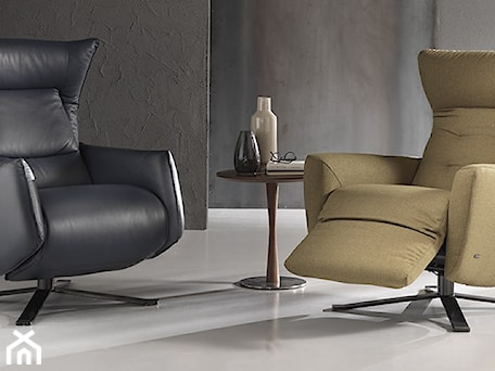 Aranżacje wnętrz - Salon: Fotel Sguardo Natuzzi Editions - NATUZZI SALON MEBLI WŁOSKICH . Przeglądaj, dodawaj i zapisuj najlepsze zdjęcia, pomysły i inspiracje designerskie. W bazie mamy już prawie milion fotografii!