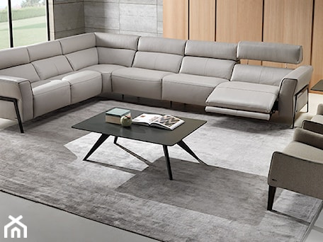 Aranżacje wnętrz - Salon: Sofa Eleganza Natuzzi Editions - NATUZZI SALON MEBLI WŁOSKICH . Przeglądaj, dodawaj i zapisuj najlepsze zdjęcia, pomysły i inspiracje designerskie. W bazie mamy już prawie milion fotografii!