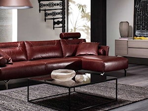 Sofa Tenore Natuzzi Italia - zdjęcie od NATUZZI SALON MEBLI WŁOSKICH