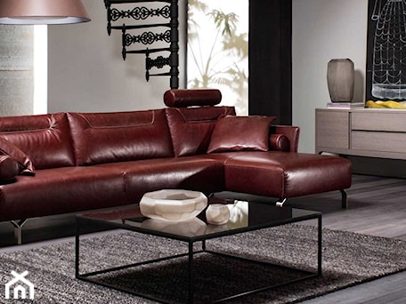 Aranżacje wnętrz - Salon: Sofa Tenore Natuzzi Italia - NATUZZI SALON MEBLI WŁOSKICH . Przeglądaj, dodawaj i zapisuj najlepsze zdjęcia, pomysły i inspiracje designerskie. W bazie mamy już prawie milion fotografii!