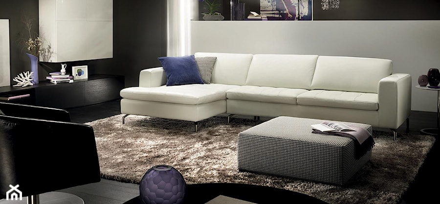 Sofa Savoy Natuzzi Italia - zdjęcie od NATUZZI SALON MEBLI WŁOSKICH