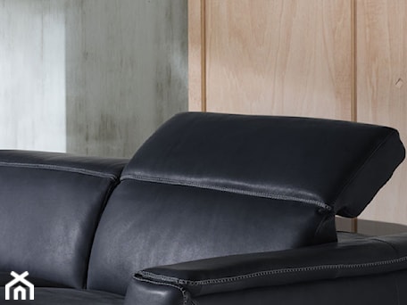 Aranżacje wnętrz - Salon: Sofa Trionfo Natuzzi Editions - NATUZZI SALON MEBLI WŁOSKICH . Przeglądaj, dodawaj i zapisuj najlepsze zdjęcia, pomysły i inspiracje designerskie. W bazie mamy już prawie milion fotografii!