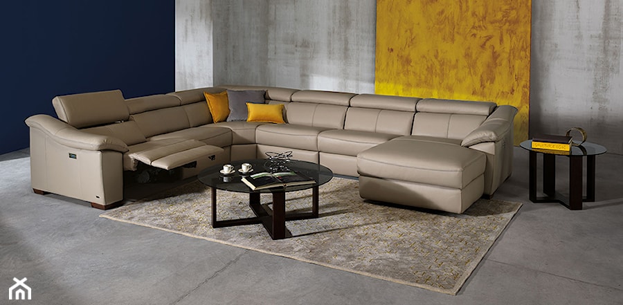 Sofa Emozione Natuzzi Editions - zdjęcie od NATUZZI SALON MEBLI WŁOSKICH