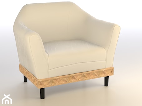 Aranżacje wnętrz - Salon: Fotel Exclusive - Ksiestwo Goralskie Design. Przeglądaj, dodawaj i zapisuj najlepsze zdjęcia, pomysły i inspiracje designerskie. W bazie mamy już prawie milion fotografii!