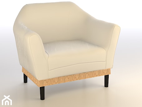 Aranżacje wnętrz - Salon: Fotel Exclusive - Ksiestwo Goralskie Design. Przeglądaj, dodawaj i zapisuj najlepsze zdjęcia, pomysły i inspiracje designerskie. W bazie mamy już prawie milion fotografii!