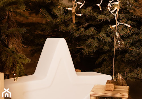 Podświetlana gwiazda Ariel świecąca ozdoba świąteczna LED - zdjęcie od Forvega