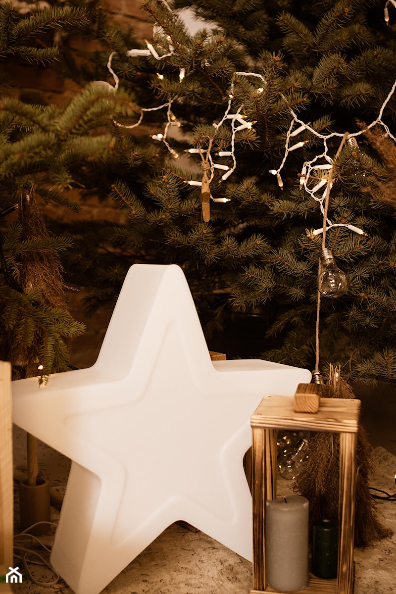 Podświetlana gwiazda Ariel świecąca ozdoba świąteczna LED - zdjęcie od Forvega