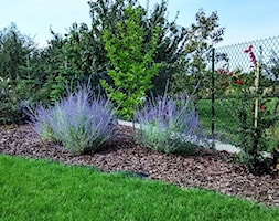 Ogród w stylu klasycznym - Ogród, styl minimalistyczny - zdjęcie od Czas na zielen - Homebook