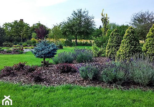 Ogród w stylu klasycznym - Duży ogród za domem - zdjęcie od Czas na zielen