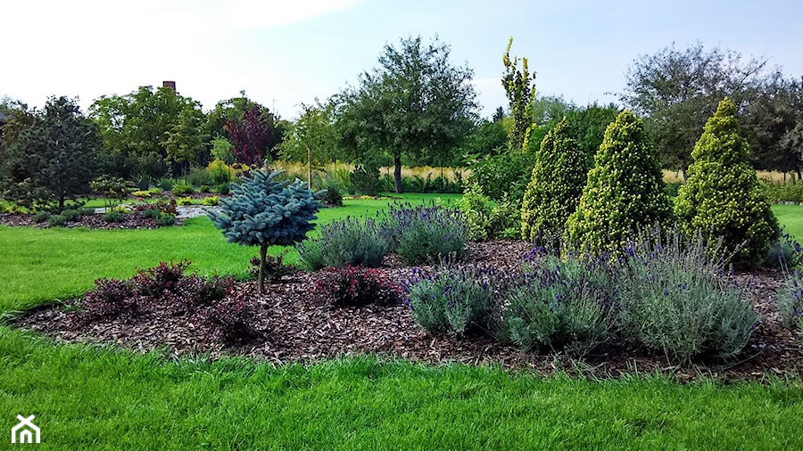 Ogród w stylu klasycznym - Duży ogród za domem - zdjęcie od Czas na zielen