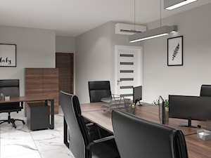 Biuro - Duże szare biuro - zdjęcie od BB Mulier Studio