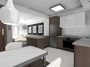 mieszkanie w szarości i bieli - Kuchnia - zdjęcie od Art-Wnętrza Studio Projektowanie Architektury i Wnętrz