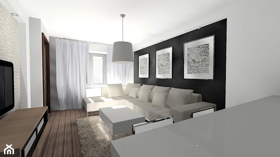 mieszkanie w szarości i bieli - Salon - zdjęcie od Art-Wnętrza Studio Projektowanie Architektury i Wnętrz