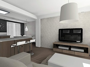 mieszkanie w szarości i bieli - Salon - zdjęcie od Art-Wnętrza Studio Projektowanie Architektury i Wnętrz