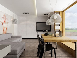 mieszkanie - Salon - zdjęcie od PRACOWNIA ARCHITEKTURY OPALIŃSKI