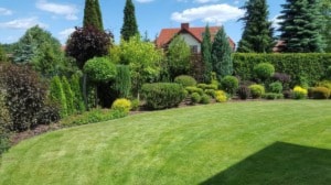 Ogrody - Ogród, styl tradycyjny - zdjęcie od Magic Gardens - Projektowanie i zakładanie ogrodów