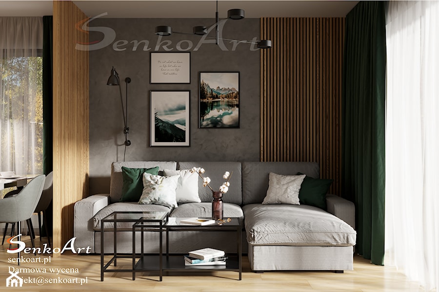 Projekt salonu nowoczesnego w domu jednorodzinnym - zdjęcie od SenkoArt Design