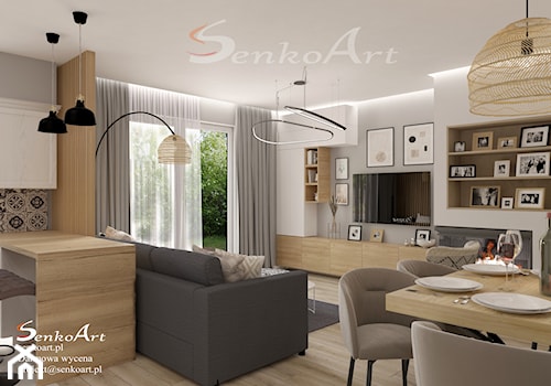Projekt salonu w domu jednorodzinnym - zdjęcie od SenkoArt Design