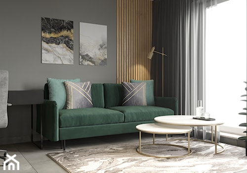 Salon z zielona sofa - zdjęcie od SenkoArt Design