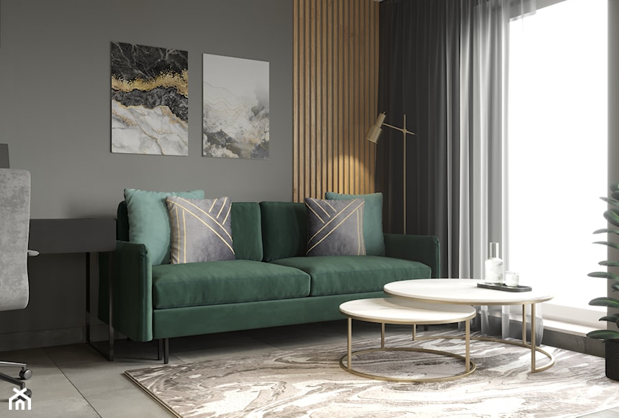 Salon z zielona sofa - zdjęcie od SenkoArt Design