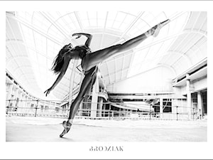 Brodziak Gallery -Plakat 10- Balerina biała - zdjęcie od Brodziak Gallery