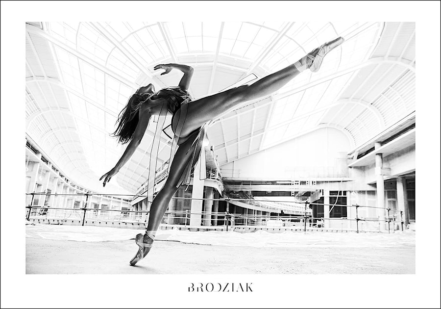 Brodziak Gallery -Plakat 10- Balerina biała - zdjęcie od Brodziak Gallery