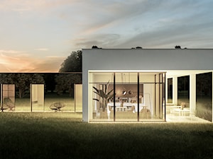 Dom z lustrem - zdjęcie od DNAarchitekci