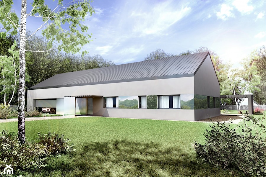 Dom nowoczesny typu stodoła - Domy - zdjęcie od DNAarchitekci